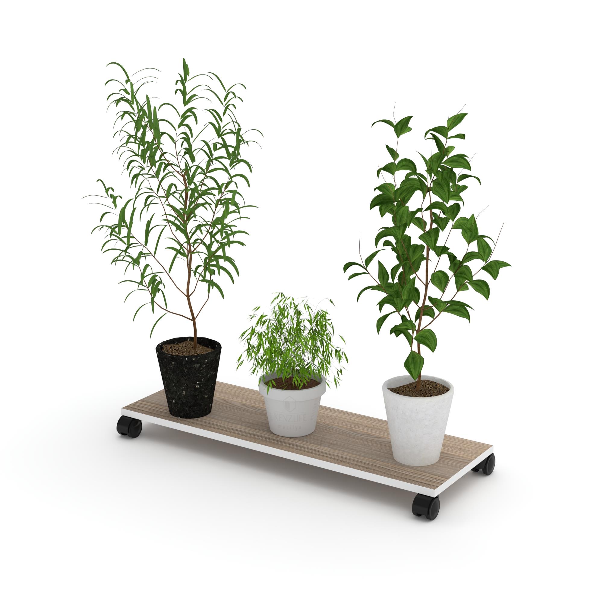 Kenzlife saksı altlığı kazım crd 010*090*30 tüp saksılık
