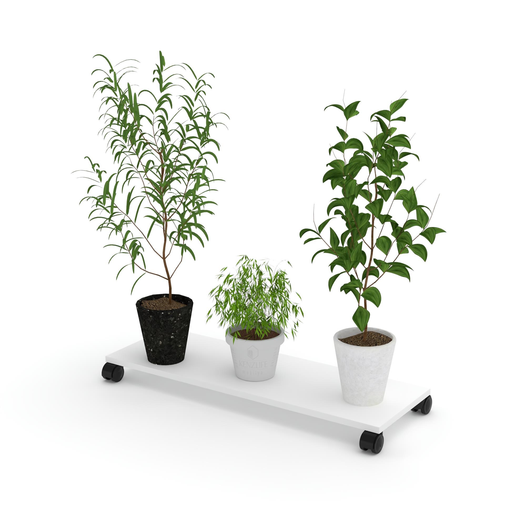 Kenzlife saksı altlığı kazım byz 010*090*30 tüp saksılık